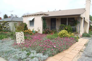 Lawn alternative landscape ideas