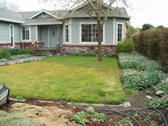 A traditional grass lawn front yard before conversion