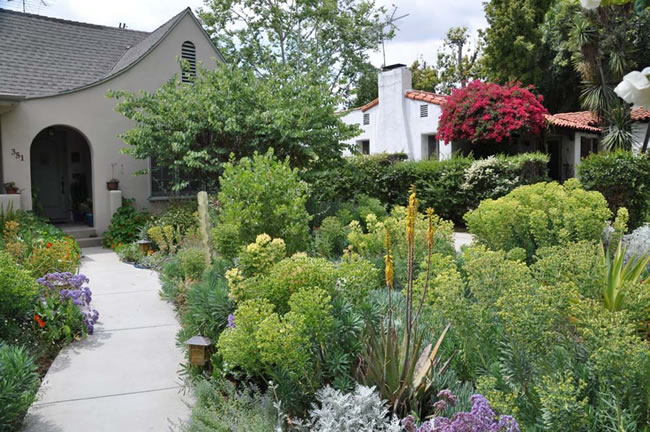 A diverse sustainable garden with flowering plants replacing a traditional lawn